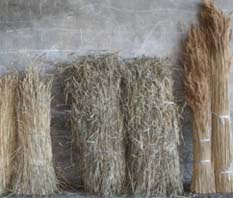 Combed Wheat Reed